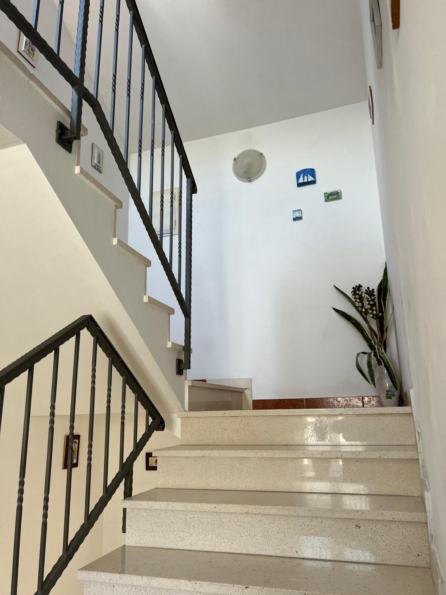 Apartments And Rooms Katija & Egon Korčula Екстериор снимка